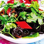 Fungus With Special Sauce 香菜木耳
